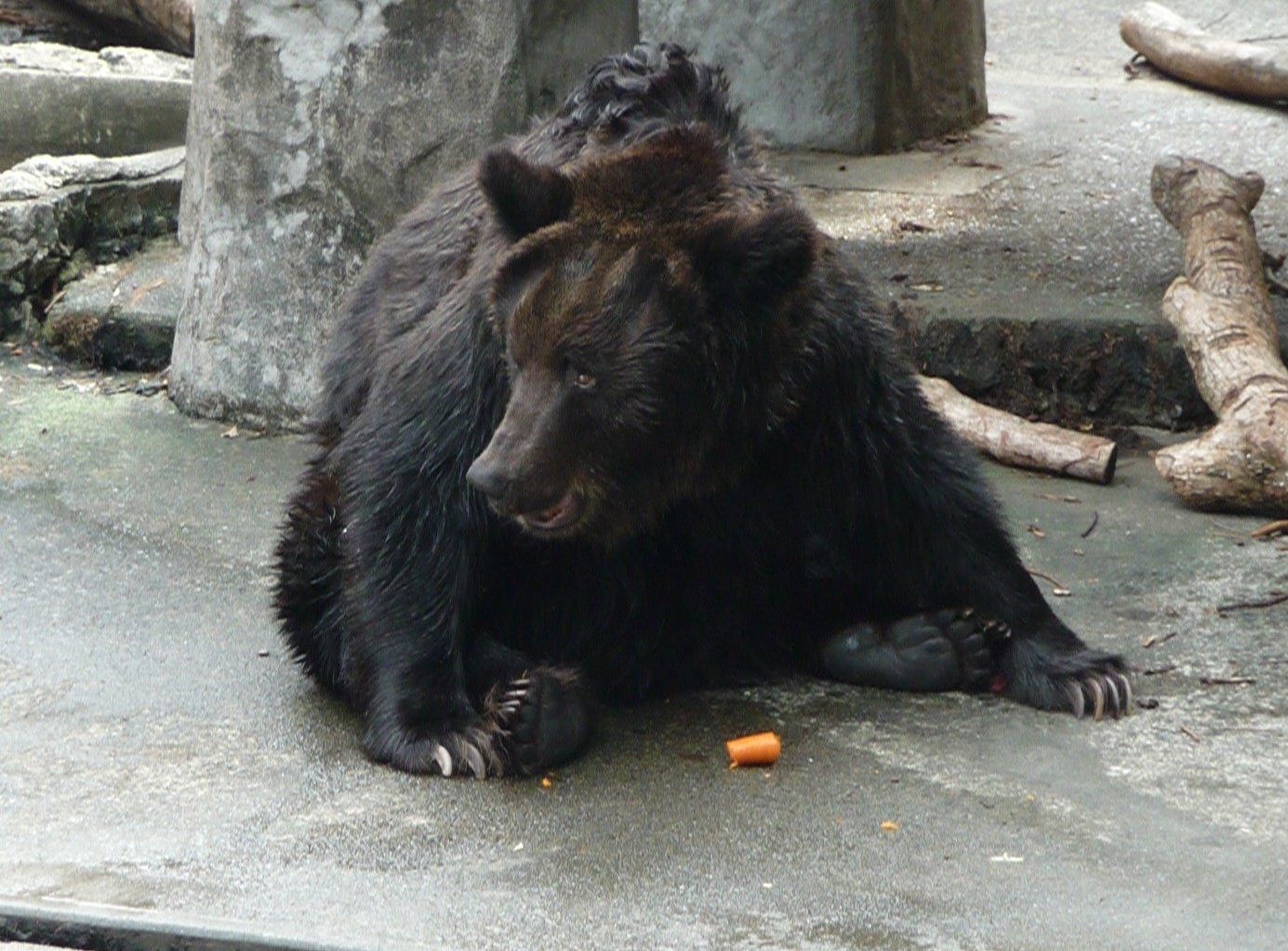 d0090801_19374972.jpg