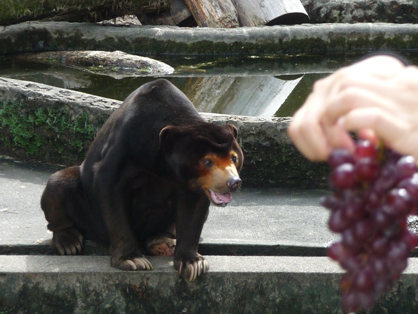 d0090801_19380032.jpg