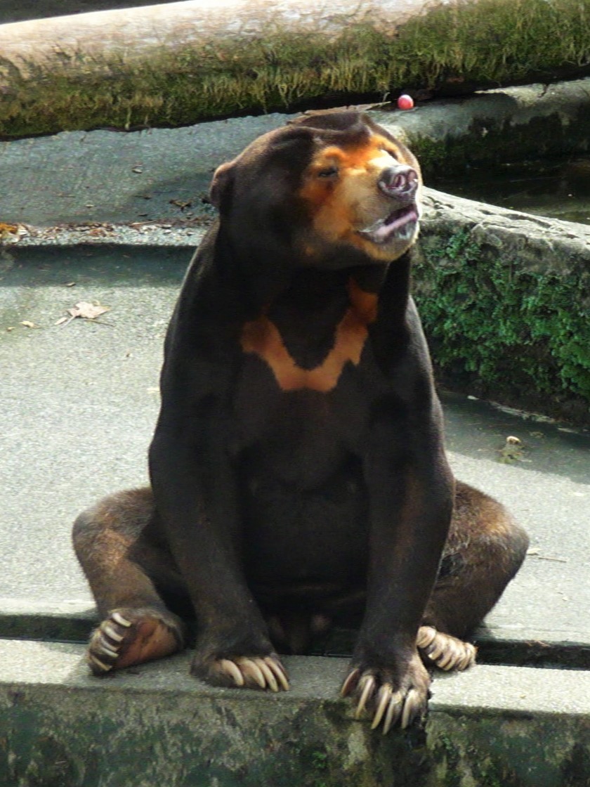 d0090801_19380548.jpg