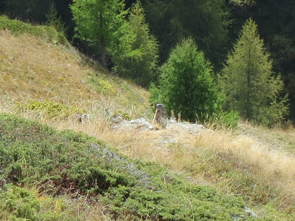 c0212604_22525263.jpg