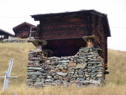 c0212604_2371322.jpg