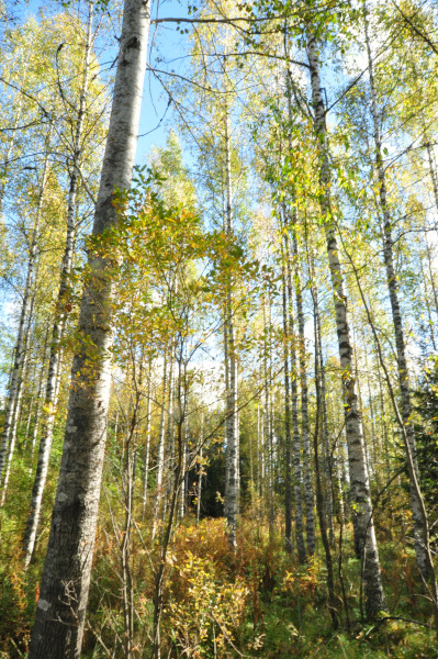 f0188408_1042797.jpg