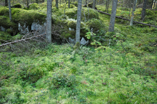 f0188408_1091024.jpg