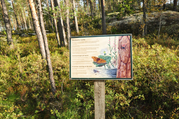 f0188408_1172599.jpg