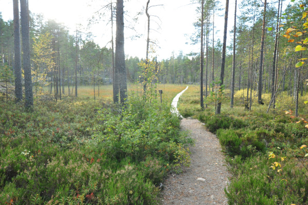 f0188408_1174612.jpg
