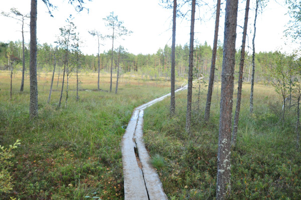 f0188408_119418.jpg