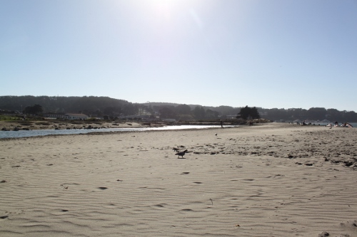 d0128712_15464149.jpg