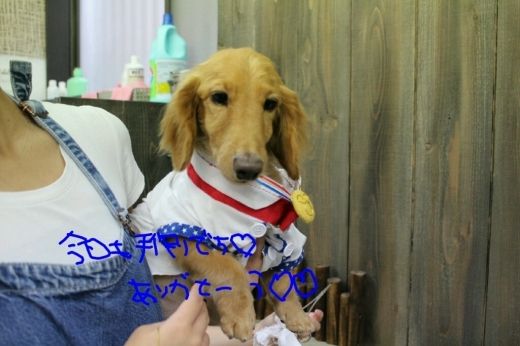 明日ですε=ε=(ﾉ≧∇≦)ﾉ_b0130018_09520343.jpg