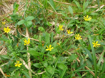 f0193521_5142725.jpg
