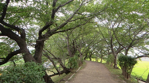 c0280322_22422277.jpg