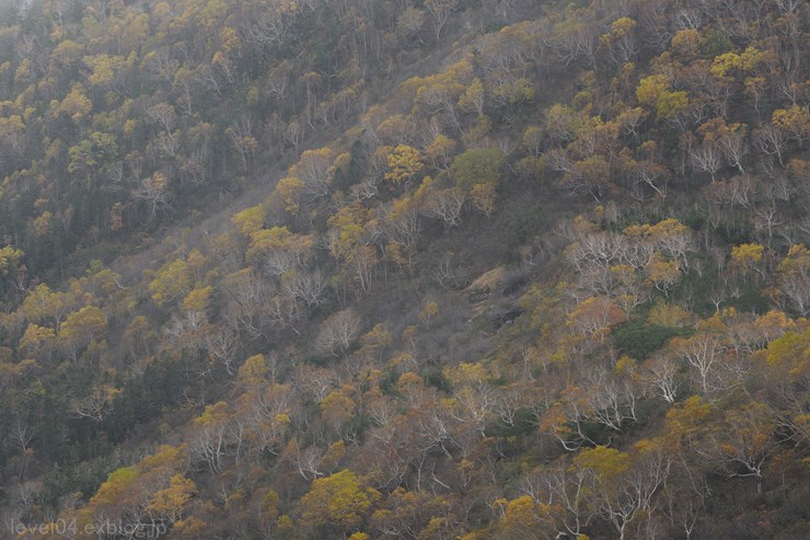 d0319222_23474817.jpg
