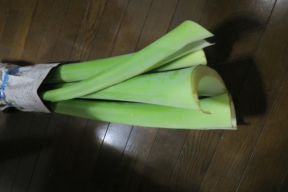 f0147025_20561382.jpg