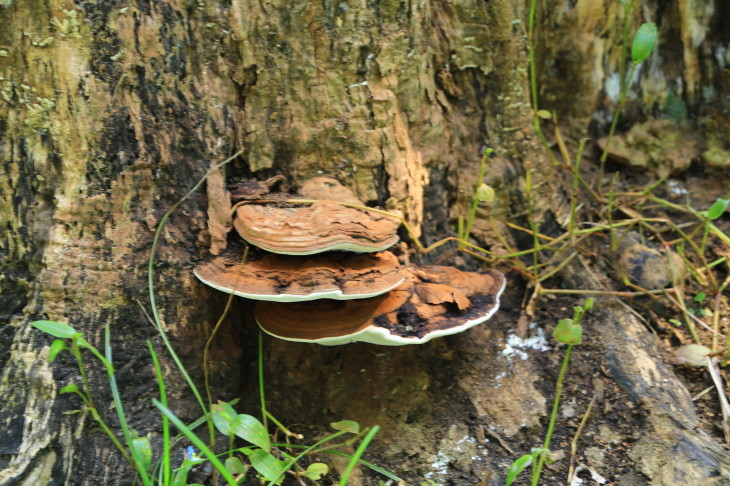 c0104227_00305320.jpg