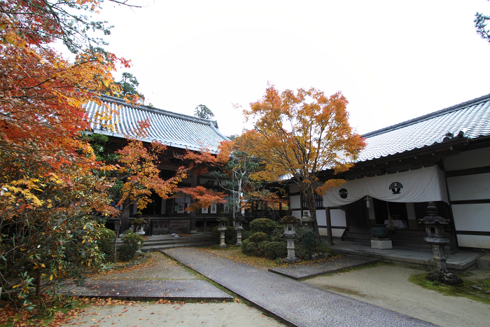 紅葉の高雄 －西明寺（後編）－ _b0169330_23523413.jpg