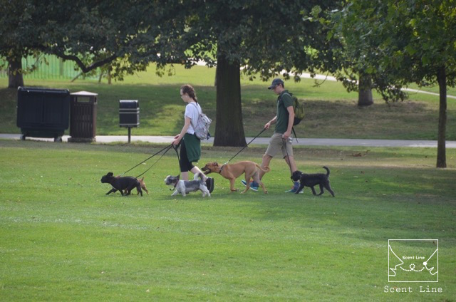 2度目のイギリス旅レポート その2 (ロンドンで犬と散歩)_c0099133_13552637.jpg