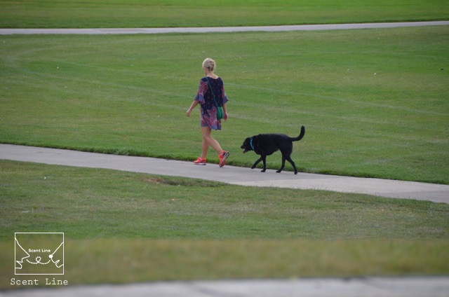 2度目のイギリス旅レポート その2 (ロンドンで犬と散歩)_c0099133_1415489.jpg