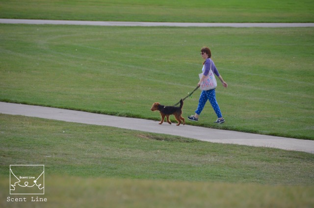 2度目のイギリス旅レポート その2 (ロンドンで犬と散歩)_c0099133_1416851.jpg