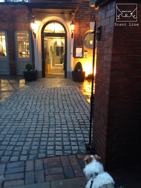 2度目のイギリス旅レポート その2 (ロンドンで犬と散歩)_c0099133_322759.jpg
