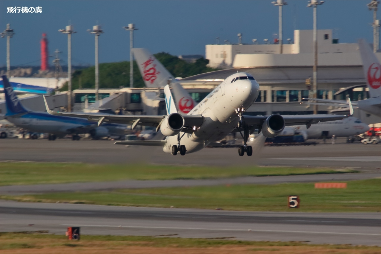 b0313338_20341617.jpg