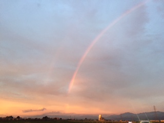 夕焼け空と虹の競演_d0009738_426531.jpg