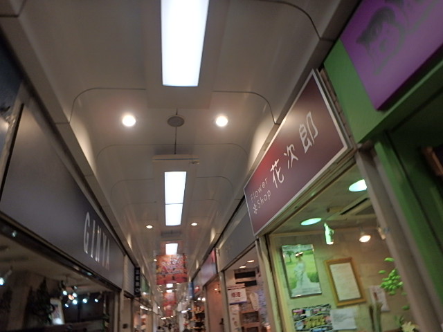 f0334143_831120.jpg