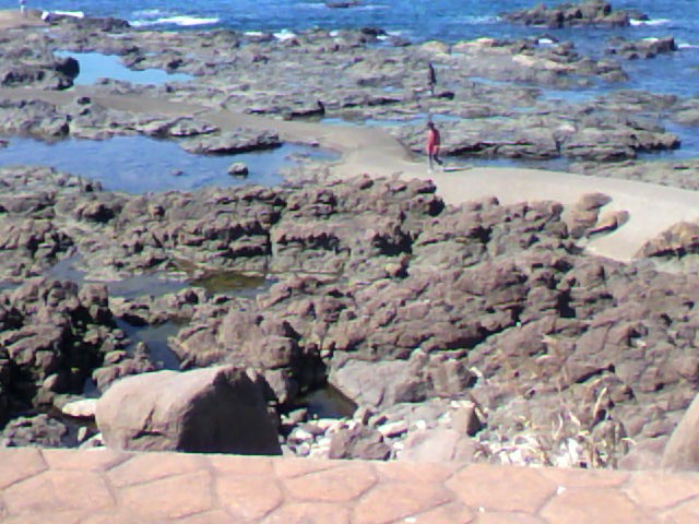 a0111545_1221783.jpg