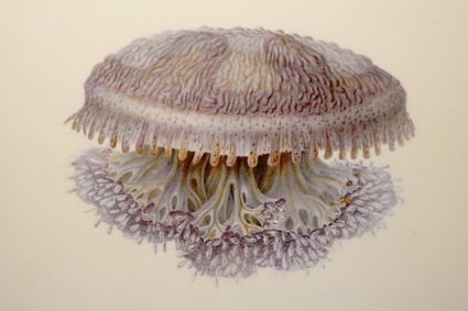 a0111545_1230441.jpg