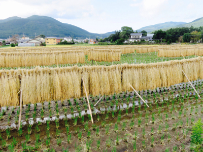 福岡〜大分ぐるっと一周 鉄道と美食の旅 その六_e0296552_19215370.jpg