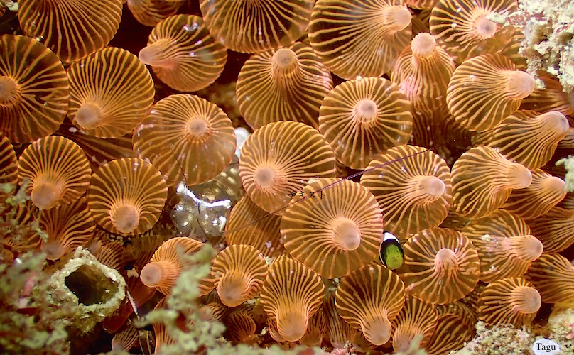 e0158261_71802.jpg