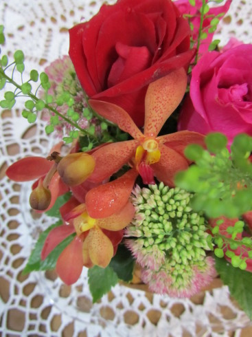 Happy Birthday to my beloved daughter 。♡。..。.゚。*・。☆♪*†_a0053662_17474423.jpg
