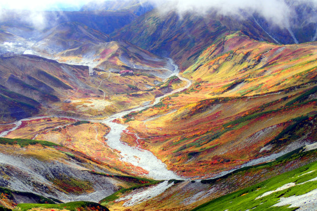 d0110562_01095330.jpg