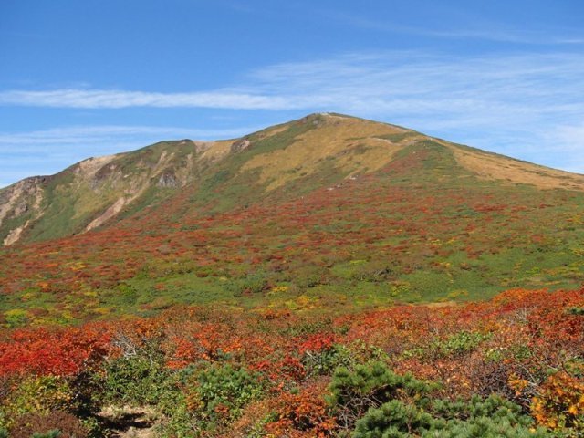 a0344771_15041205.jpg