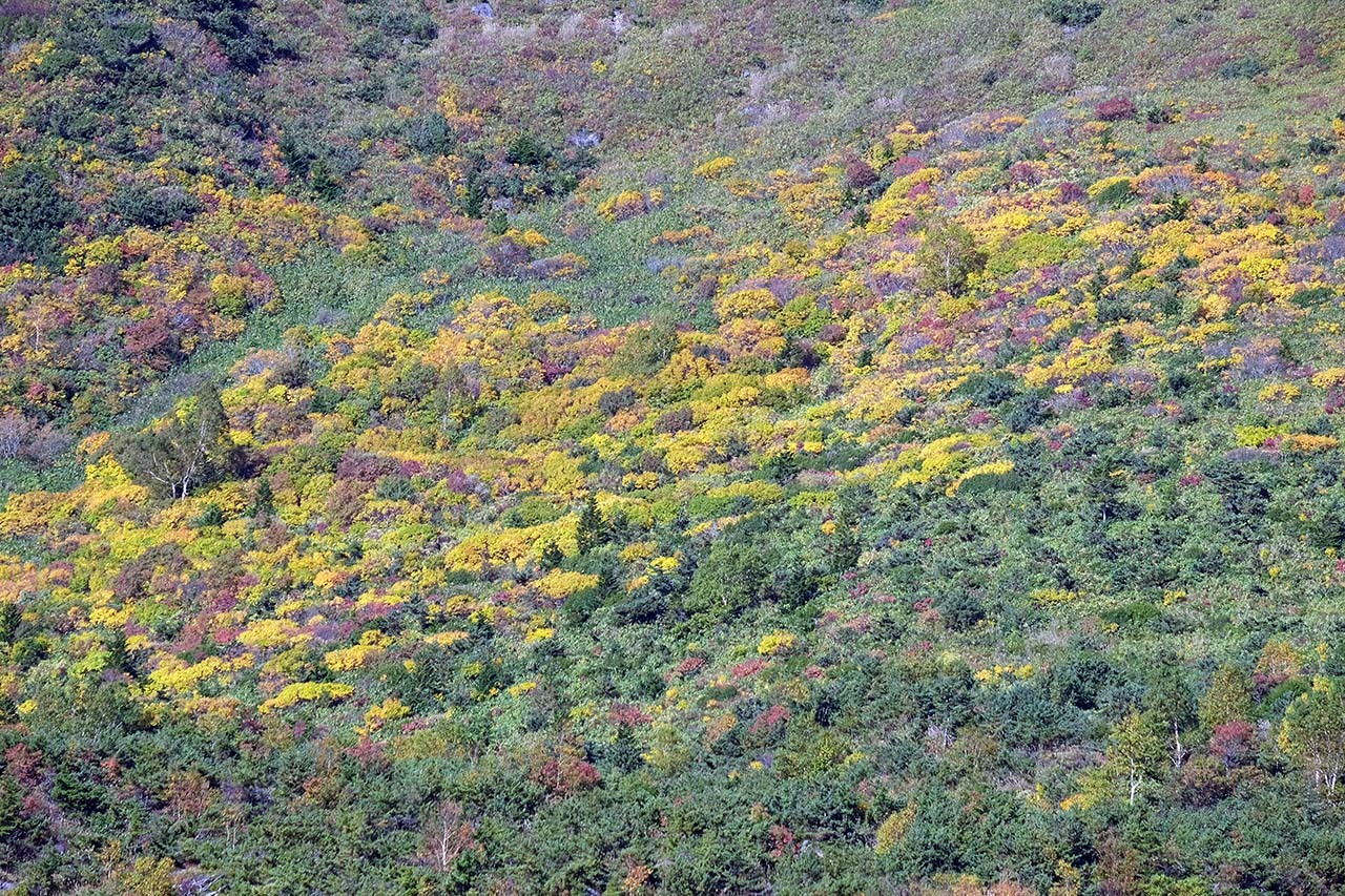 一切経山・吾妻小富士_e0096372_09305620.jpg