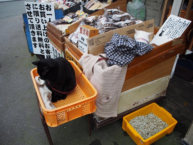 d0038975_13135860.jpg