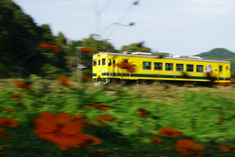 小湊鉄道  いすみ鉄道_d0341483_21503279.jpg