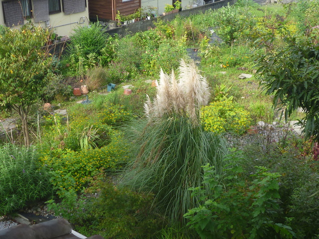 c0096287_124927.jpg