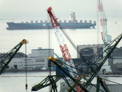 b0192588_9431581.jpg
