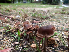 b0192588_9441483.jpg