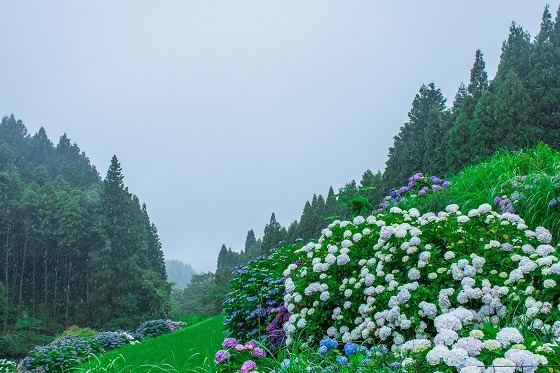 e0176993_07033235.jpg
