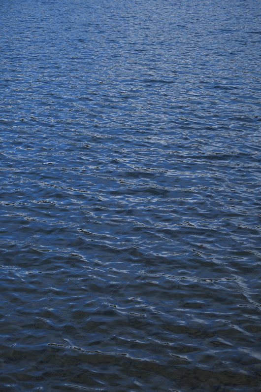 b0208494_23205144.jpg