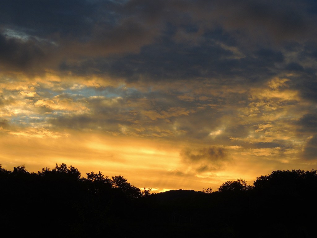 c0265095_21284630.jpg