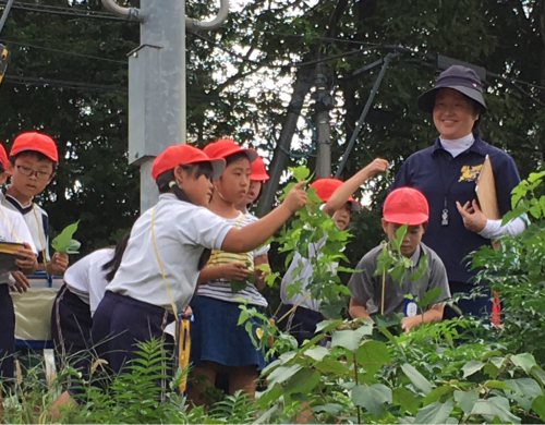 「くわの木とかいこ」豊田市中山小学校で出張授業 校外学習編_c0087899_13482210.jpg