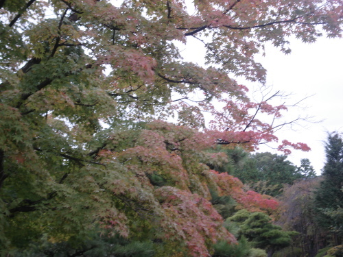 e0353802_10505879.jpg