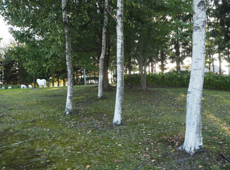 e0350905_14261604.jpg