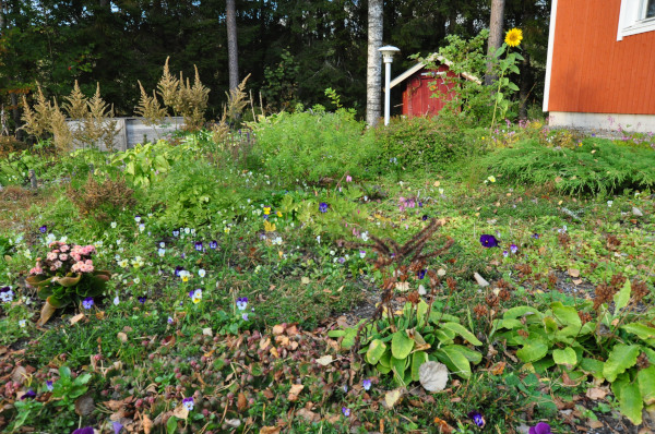 f0188408_10381147.jpg