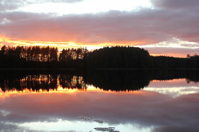 f0188408_1152314.jpg