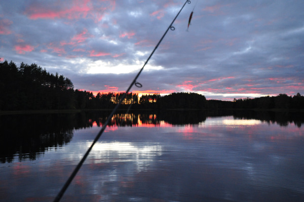 f0188408_1163610.jpg