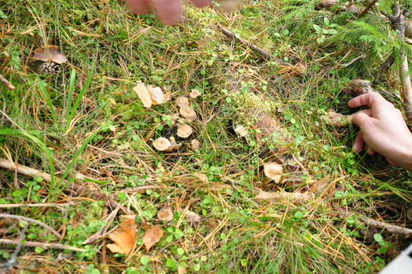 f0188408_1410868.jpg