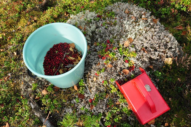 f0188408_1454440.jpg