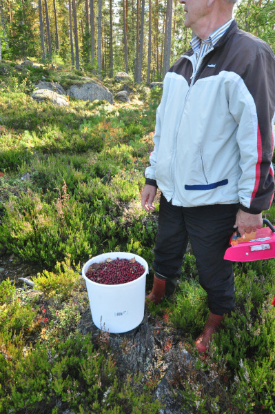 f0188408_146011.jpg